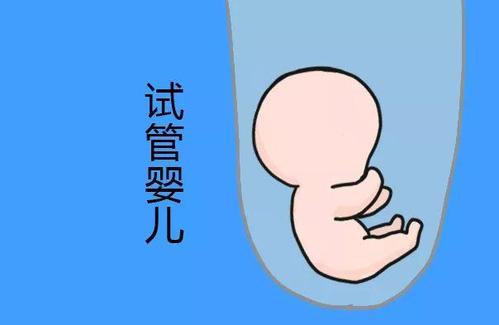试管借卵代怀机构